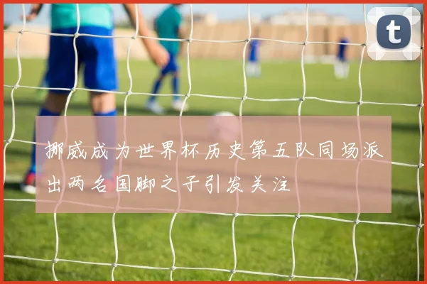 挪威成为世界杯历史第五队同场派出两名国脚之子引发关注